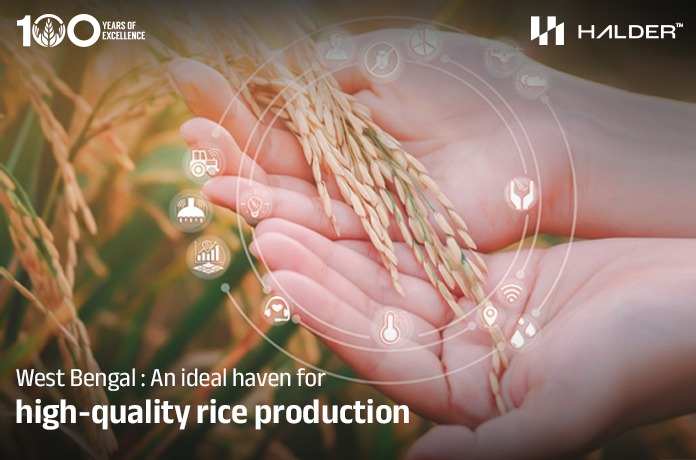 West Bengal: An ideal haven for high-quality rice production.