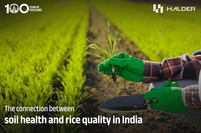 The connection between soil health and rice quality in India