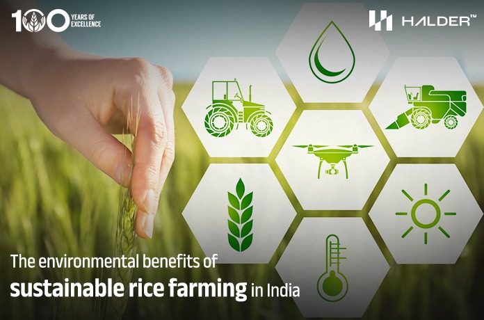 The environmental benefits of sustainable rice farming in India